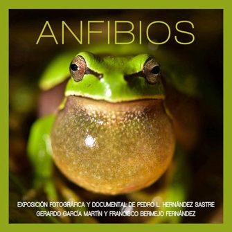 exposicion-anfibios